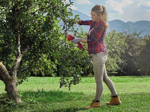 PXC Aku makaze škare za obrezivanje GE-LS 18 Li-Solo