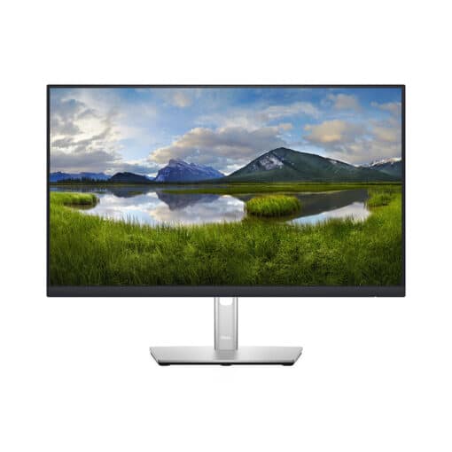 MONITOR DELL Professional P2422H